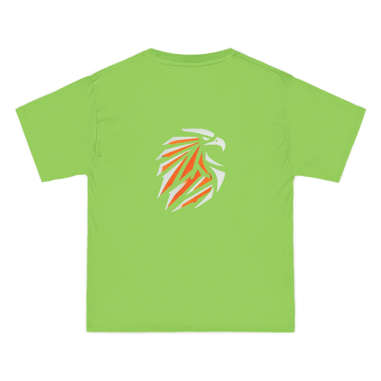Abstract
Eagle: Minimalist Geometric
