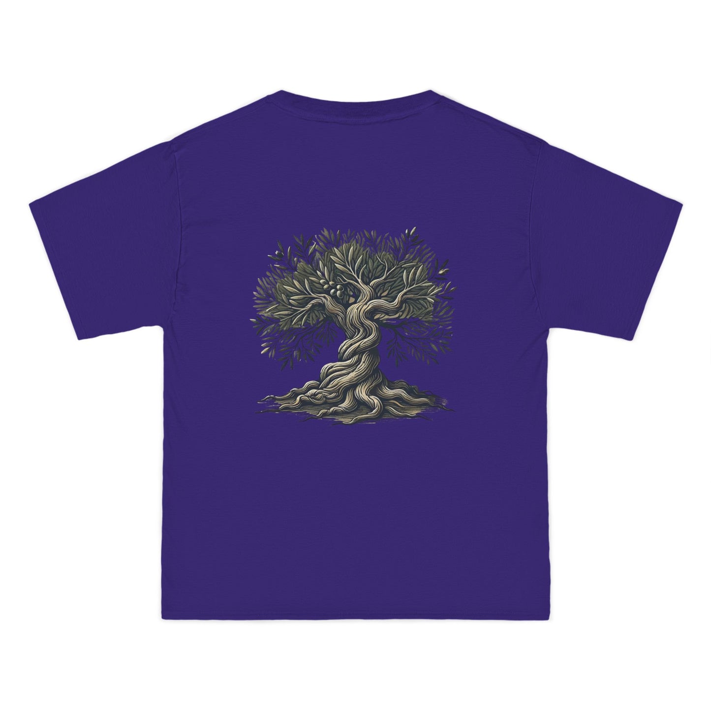 Ancient
  Olive Tree: Classical Elegance