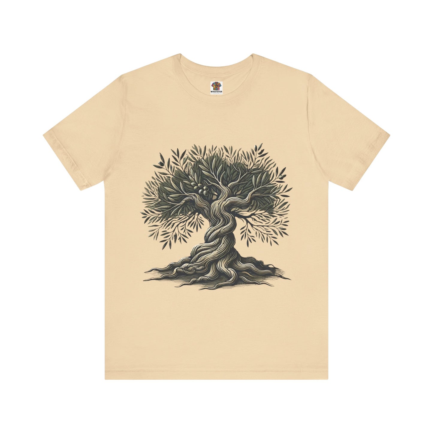 Ancient Olive Tree: Classical Elegance